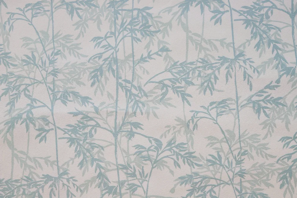 精彩瞬间回顾 - 天天盈球